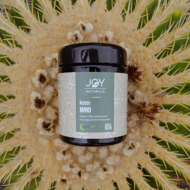 keen:MIND - ein innovativer, veganer Nährstoffkomplex mit ausgewählten Phytostoffen, der speziell entwickelt wurde, um die kognitive Funktion und das Gedächtnis zu unterstützen.