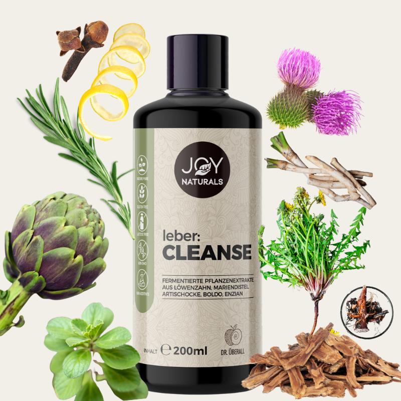 Fermentierte Pflanzenextrakte für die Leberentgiftung mit Inhaltstoffen