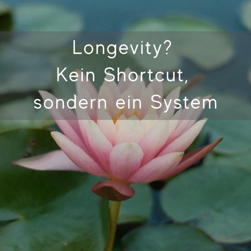 Longevity – Mehr als nur ein All-in-one Supplement